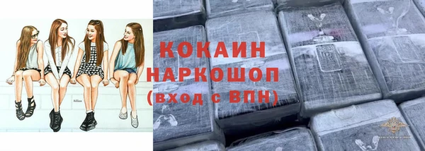 дживик Арсеньев